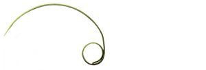 Curve Skewer